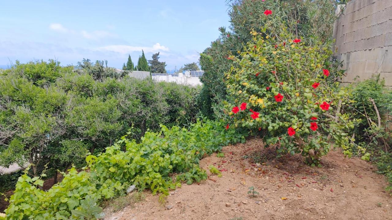 Stunning Villa With Pool, Table Tennis, Table Soccer And A Pool Table Naxxar Exterior photo